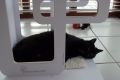Retro - bottom lying surface on the Design Cat Furniture